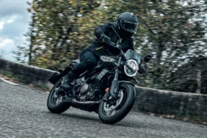 Husqvarna Svartpilen 401 3
