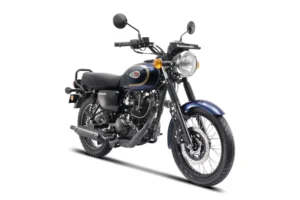 Kawasaki W175 2024