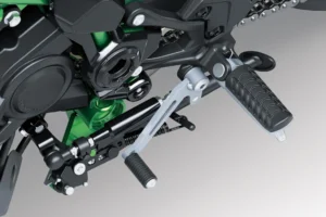 Kawasaki Z900 2025
